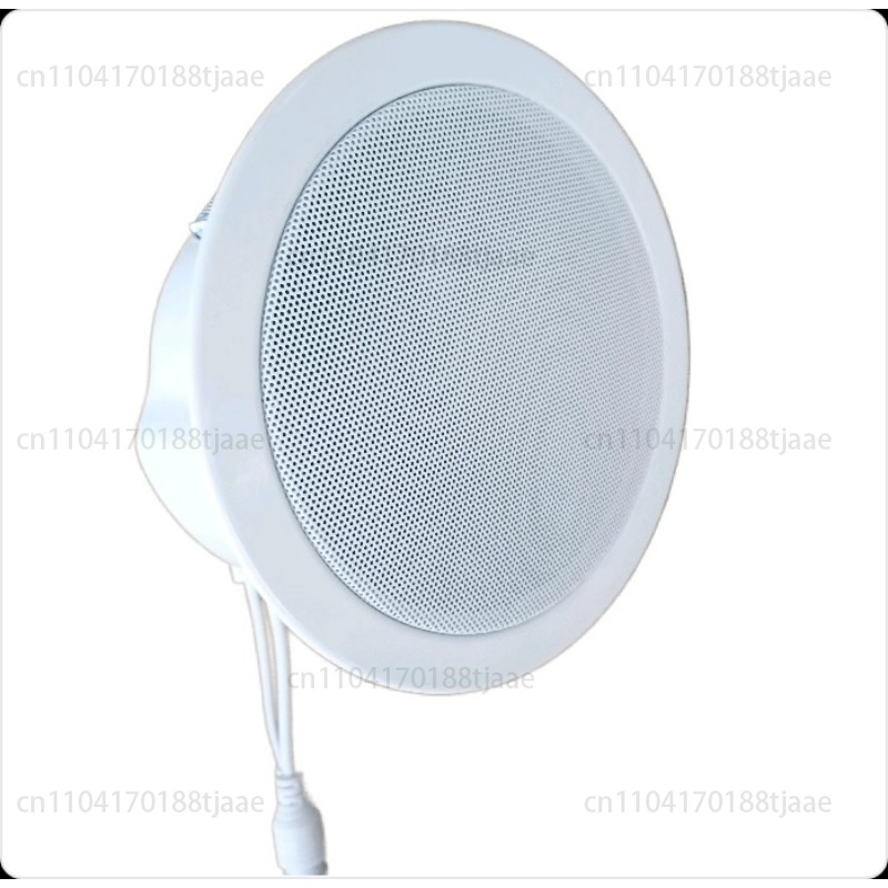IP Network Speaker, Ceiling Au - Audio Music Store avaliação e preço